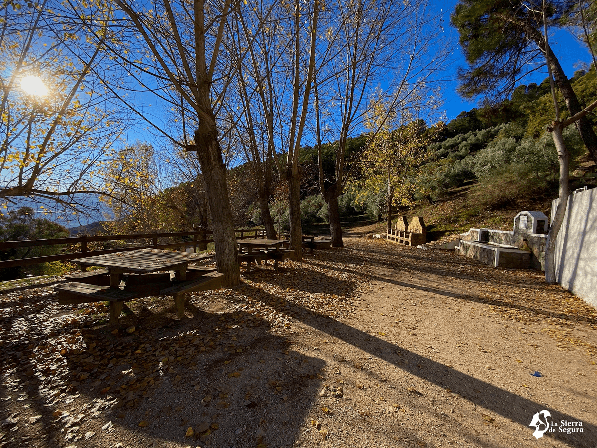 Área Recreativa Virgen del campo en Torres de Albanchez
