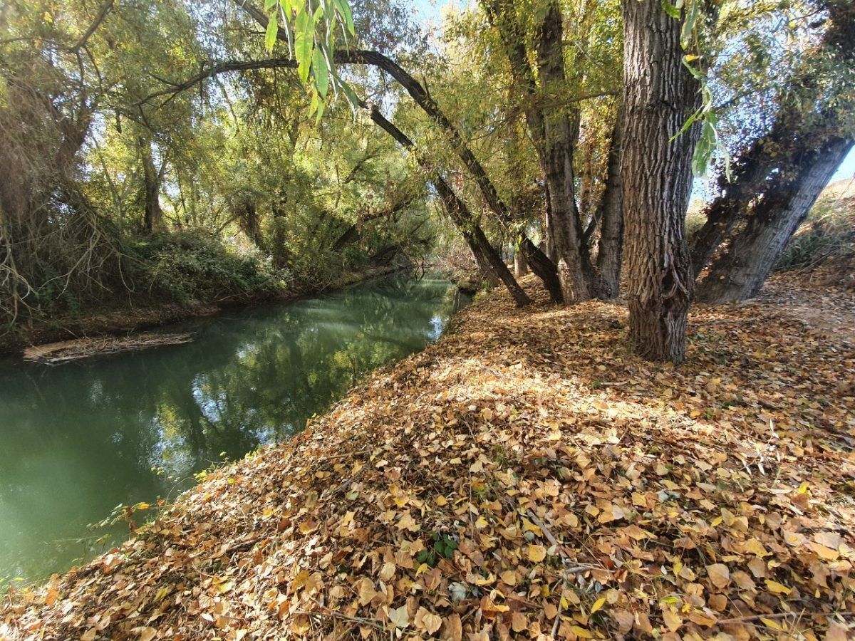 Paseo de Vida Villacarrillo