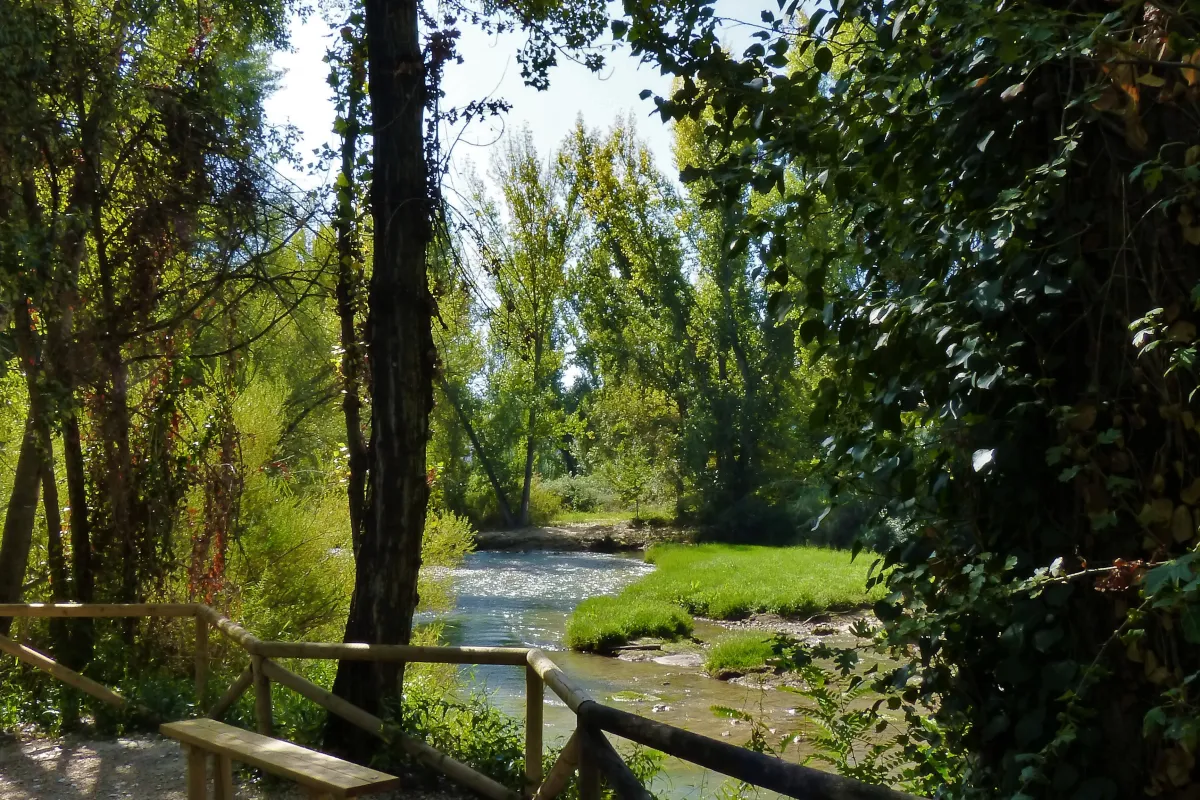 Paseo de Vida Villacarrillo